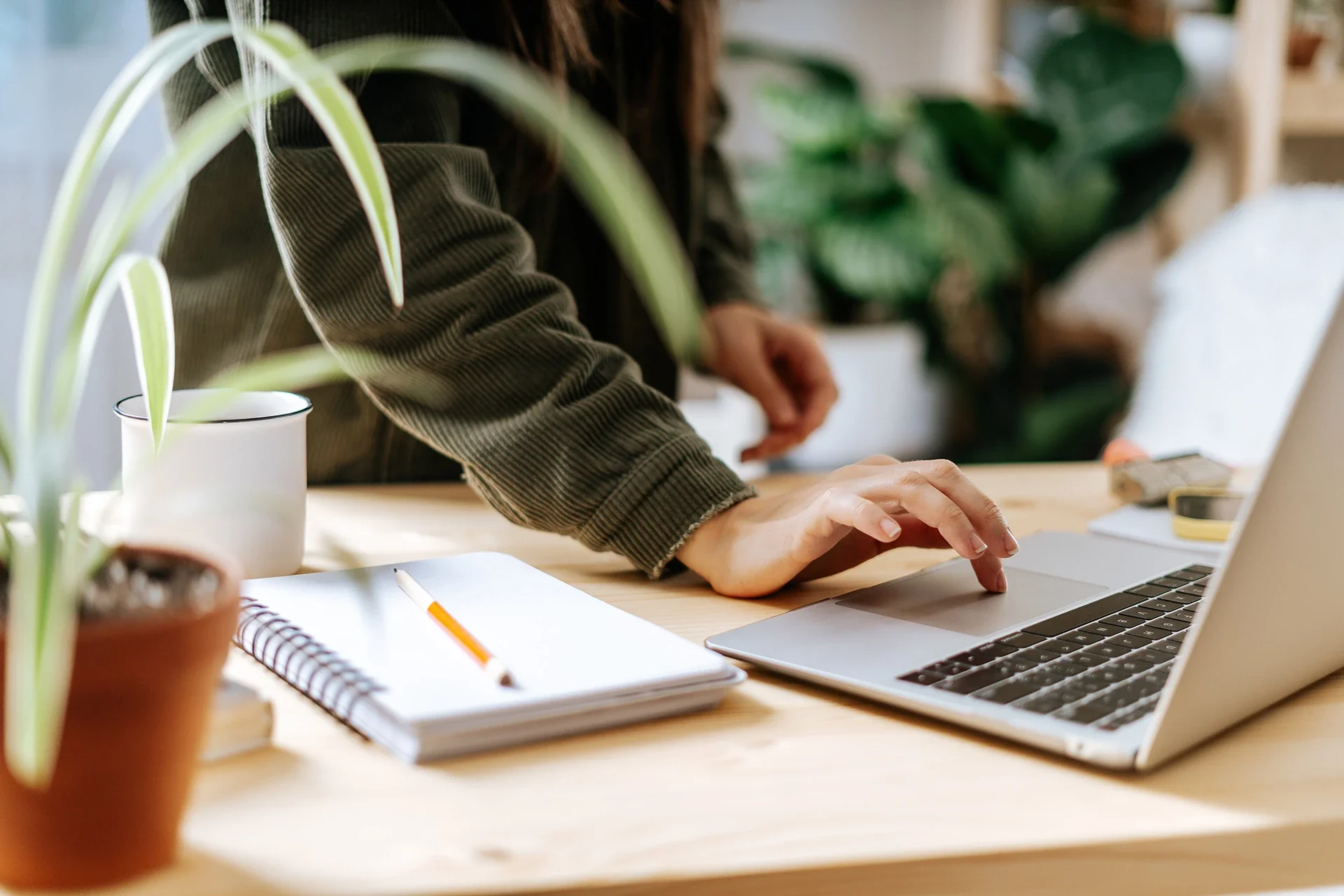 hippocratus-fiche-metier-sophrologue-accompagnement-elearning