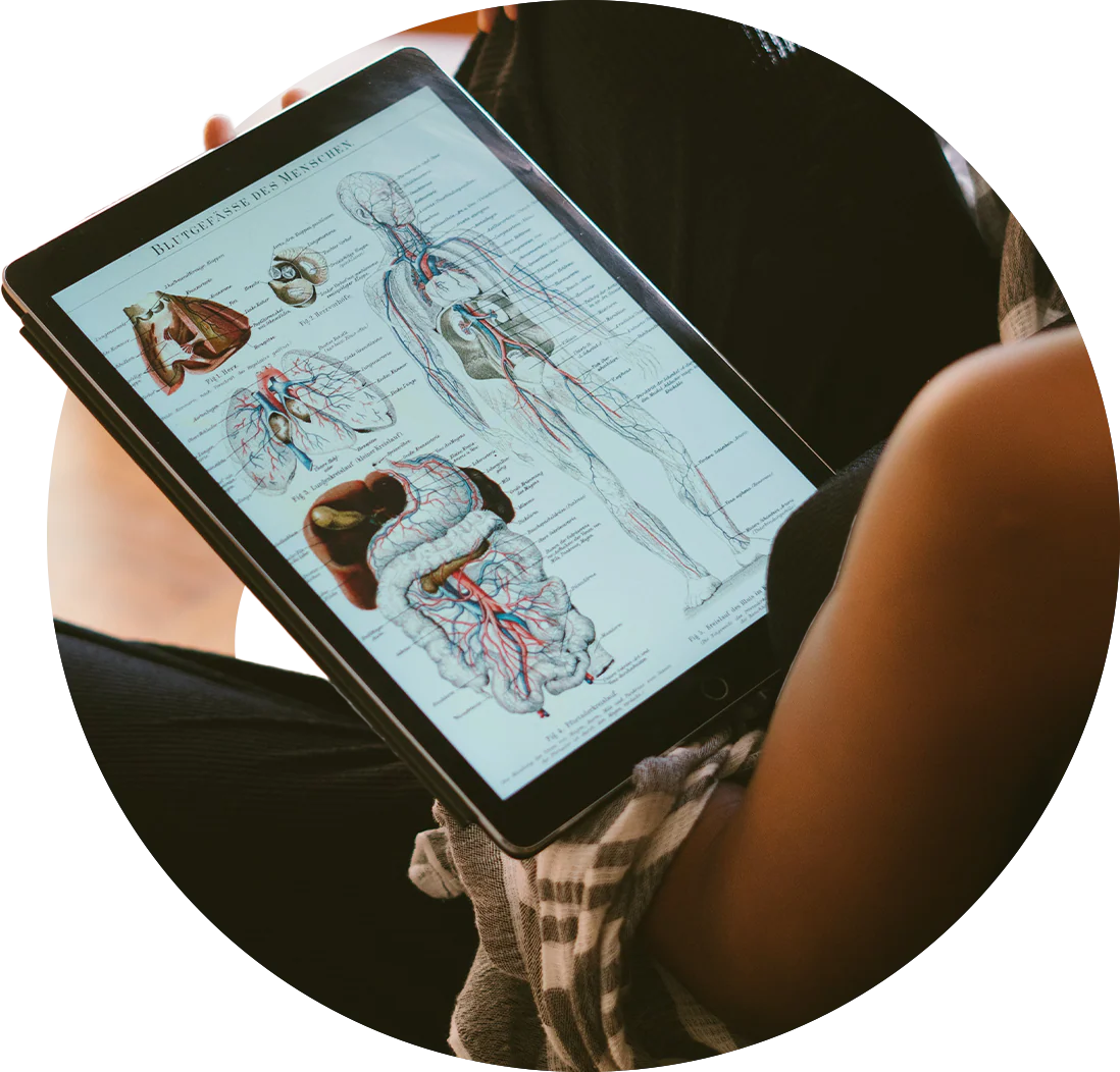 alimentation thérapeutique